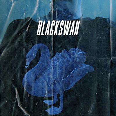 Blackswan_jkt_